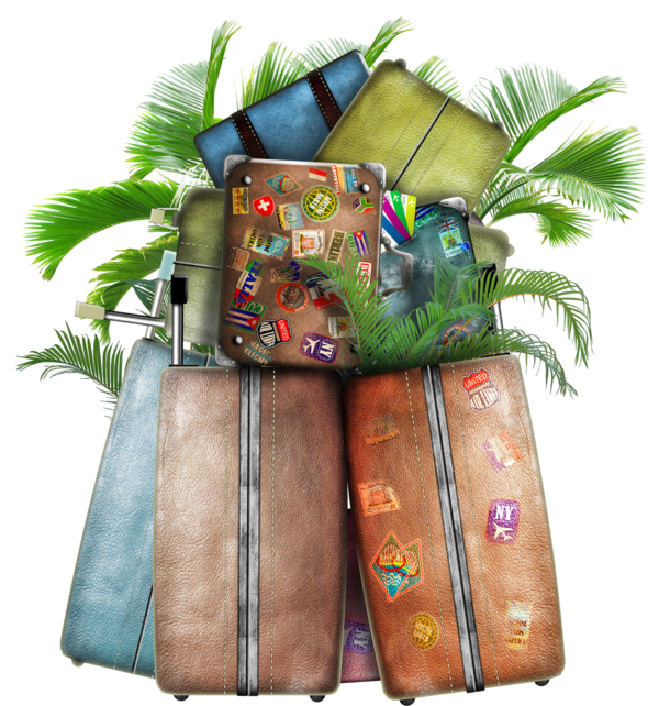 Moments Beyond Borders about banner image