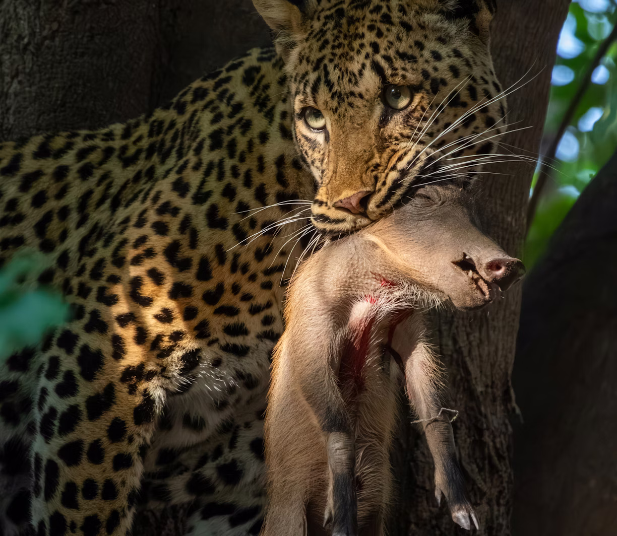 Moments Beyond Borders explore Zambia image