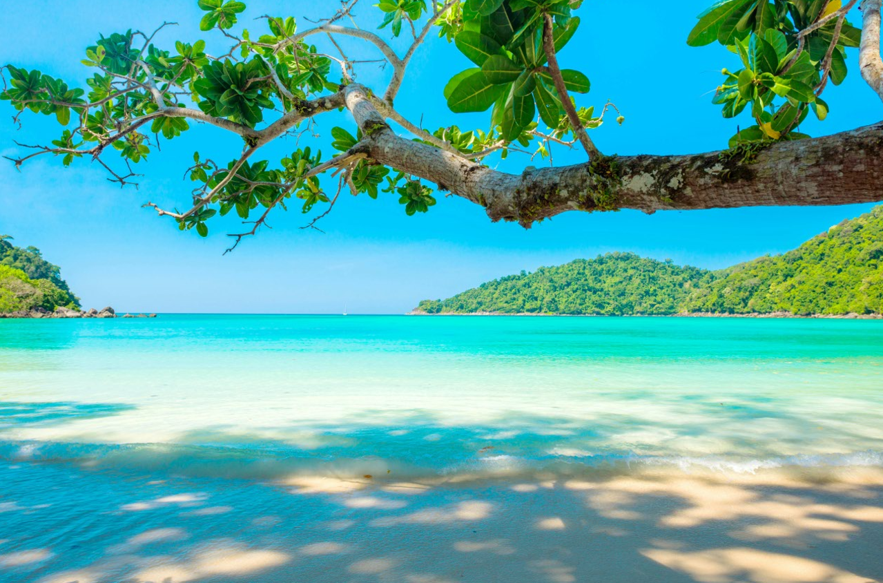 Moments Beyond Borders travel program service image